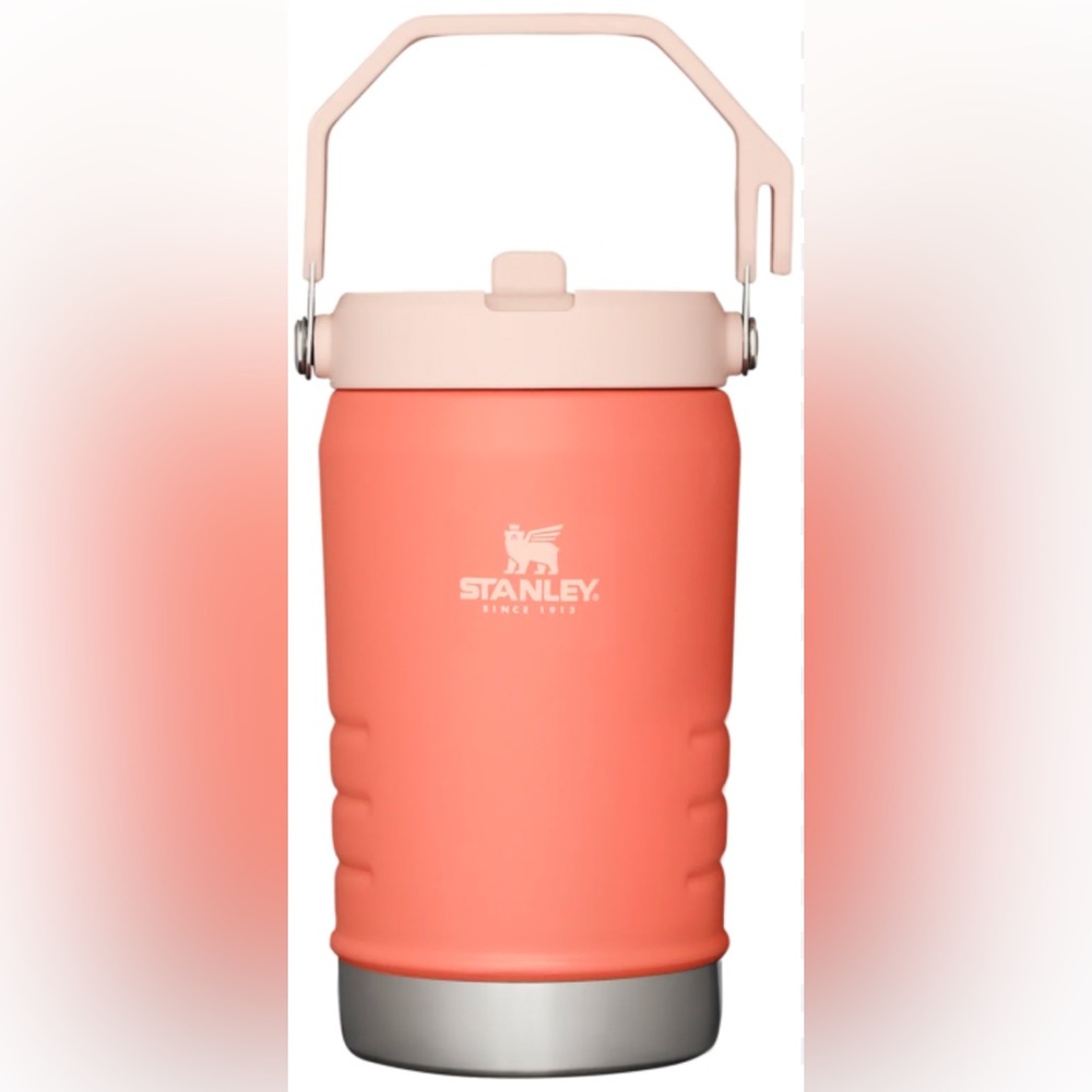 Stanley Iceflow Flip Straw Jug (40 oz) (NWT)